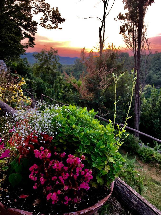 Tenuta Di Vico Moricino Anagni Exteriér fotografie