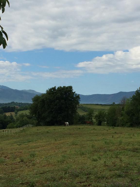 Tenuta Di Vico Moricino Anagni Pokoj fotografie